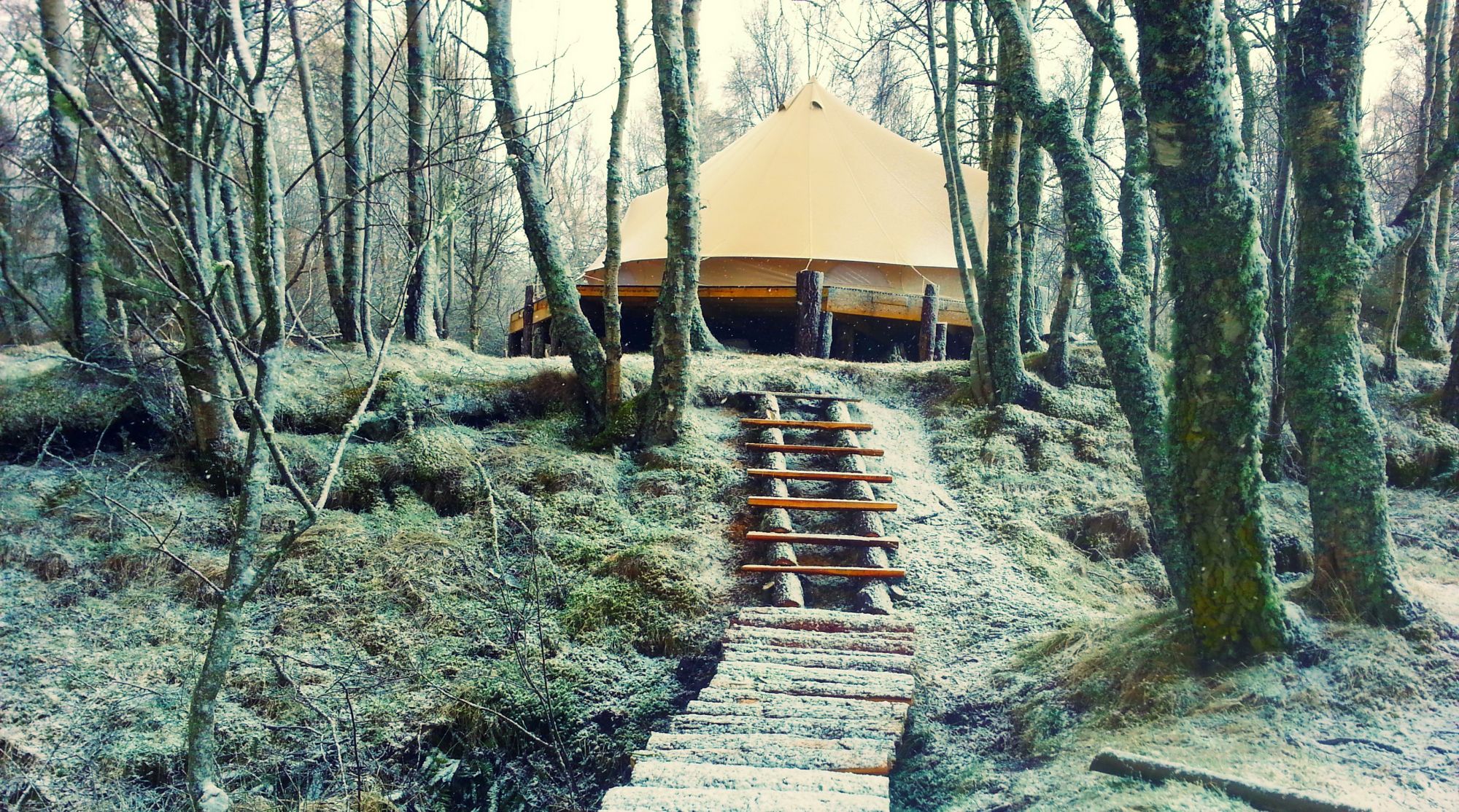 801b078e840510fec2ac3eceeb9f8b9d a tent in the middle of a forest