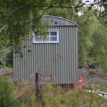 a tree in front of a house
