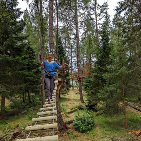 a man standing next to a tree in a forest
