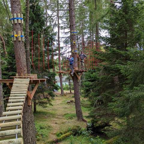 a wooden bench sitting in the middle of a forest