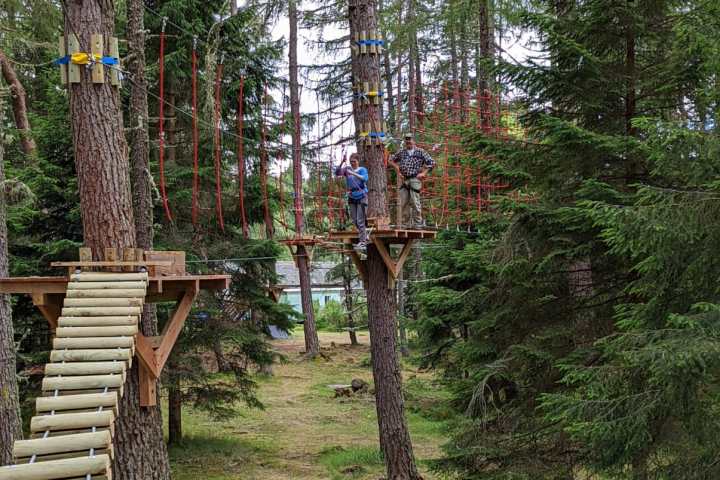 a wooden bench sitting in the middle of a forest